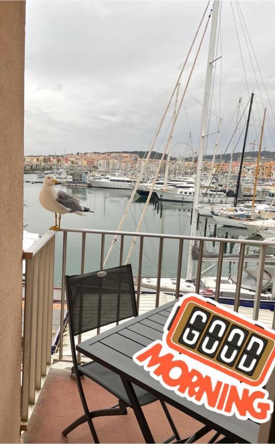 Studio La Grande Roue Vue Magnifique Agde Eksteriør billede