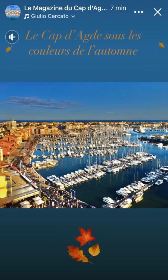 Studio La Grande Roue Vue Magnifique Agde Eksteriør billede